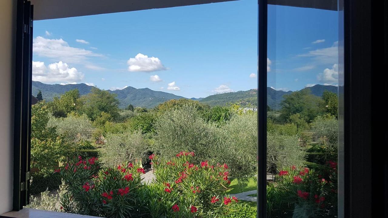 Salvia E Rosmarino - Affittacamere In Liguria Villanova d'Albenga Eksteriør bilde