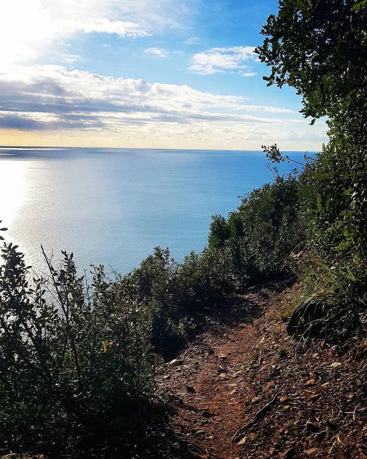 Salvia E Rosmarino - Affittacamere In Liguria Villanova d'Albenga Eksteriør bilde
