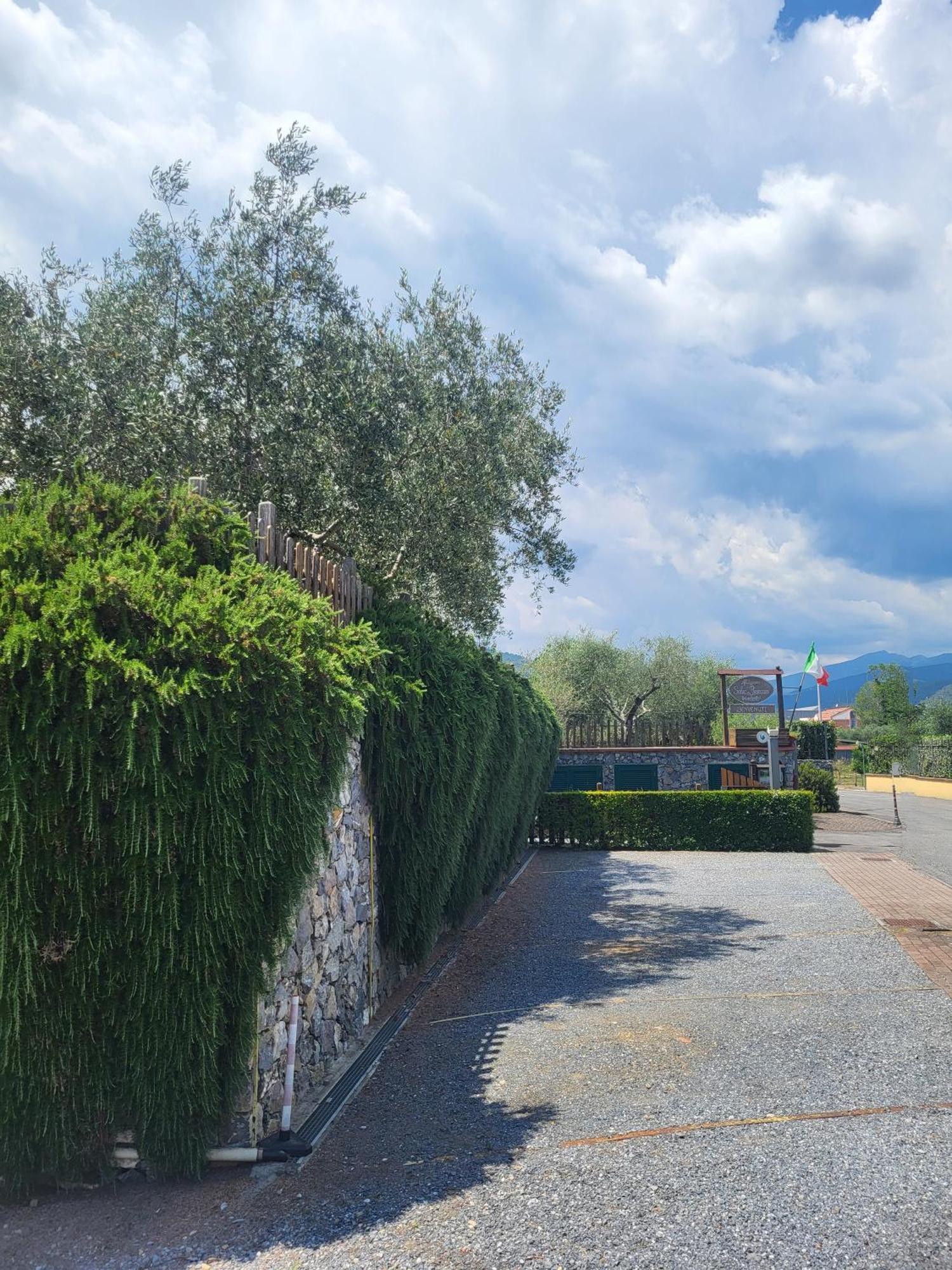 Salvia E Rosmarino - Affittacamere In Liguria Villanova d'Albenga Eksteriør bilde