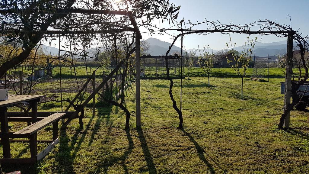 Salvia E Rosmarino - Affittacamere In Liguria Villanova d'Albenga Eksteriør bilde