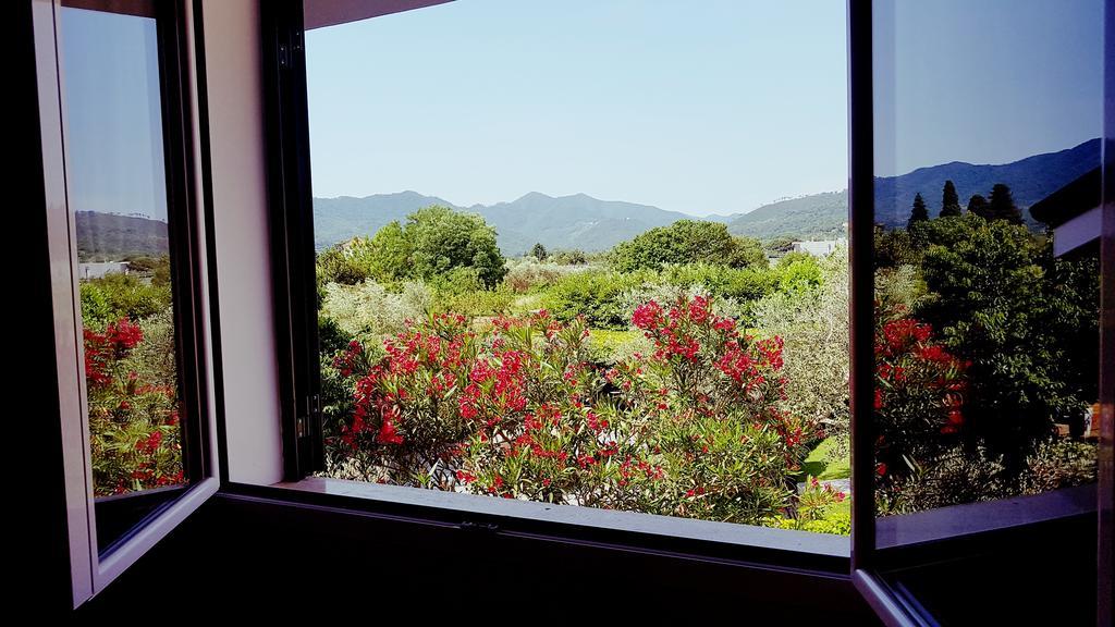 Salvia E Rosmarino - Affittacamere In Liguria Villanova d'Albenga Eksteriør bilde